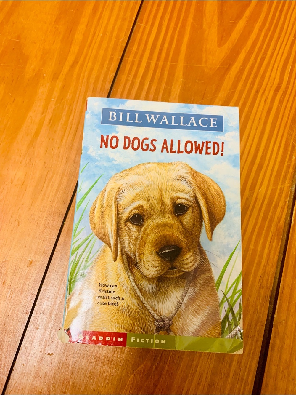 No Dogs Allowed! By Bill Wallace paperback chapter book